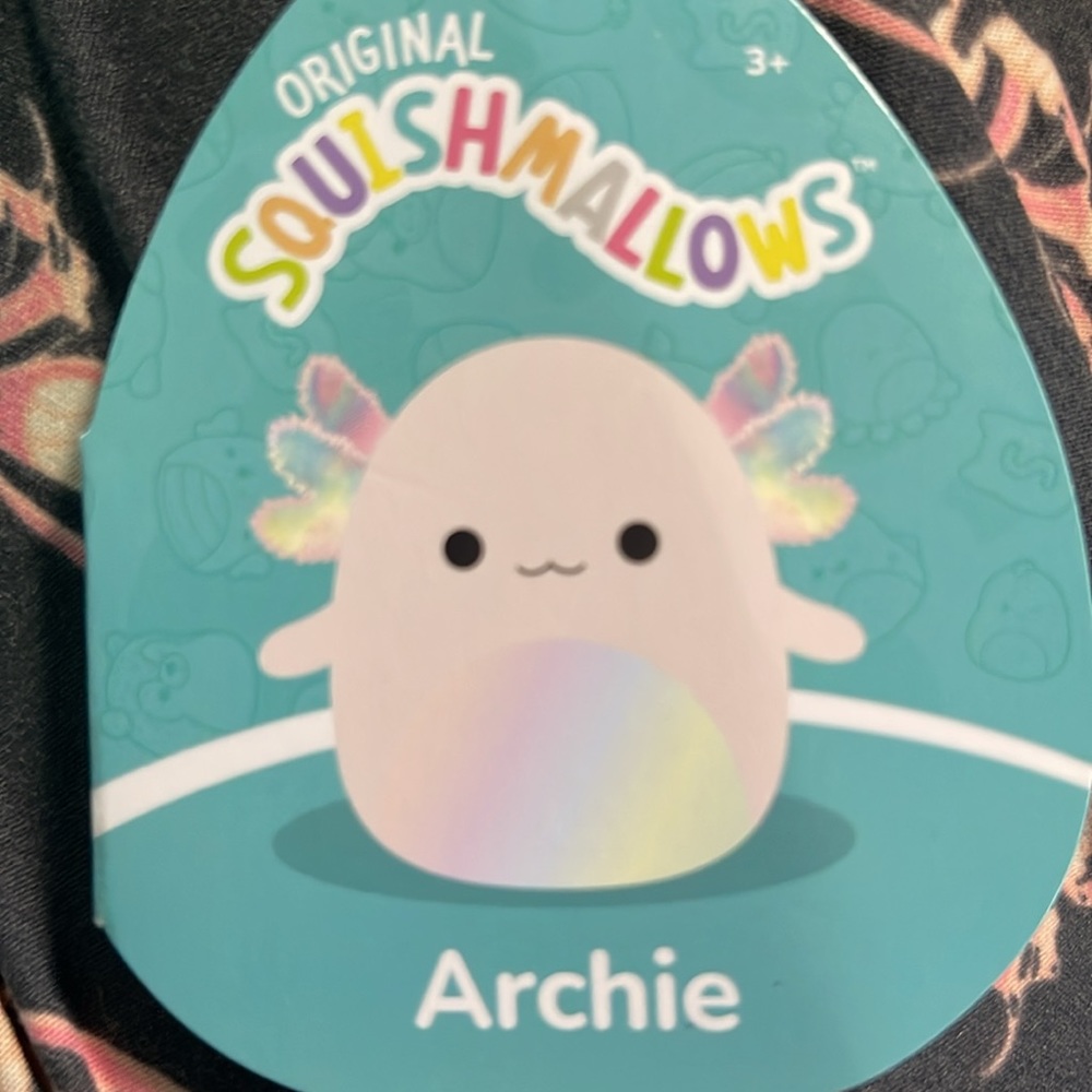 Archie rainbow - Picture 3 of 3